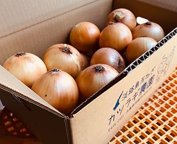 たまねぎ　5個 Amazon.co.jp: カツラギ農園 淡路島産 玉ねぎ5kg 【L～Mサイズ